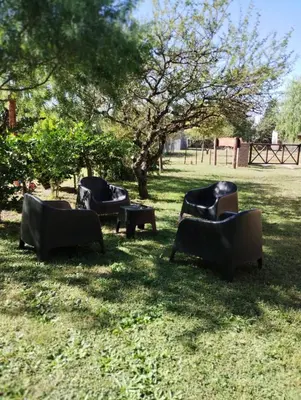 a group of chairs in the grass under a tree at Cabañas Almafuerte in Villa Quillinzo