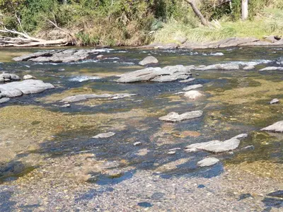 a stream with rocks in the middle of a river at Cabañas Almafuerte in Villa Quillinzo