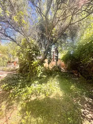 a house with a tree in the middle of a yard at Architerra in San Javier