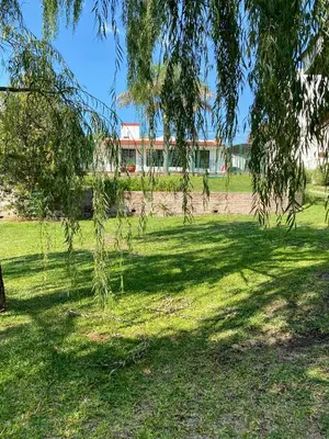 a tree in a field with a building in the background at La Casa de Tita in Villa Carlos Paz