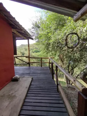 a wooden boardwalk leading to a porch of a house at Cabañas de montaña 