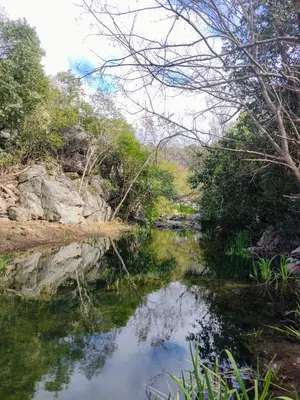 a body of water with trees and rocks at Cabañas de montaña 