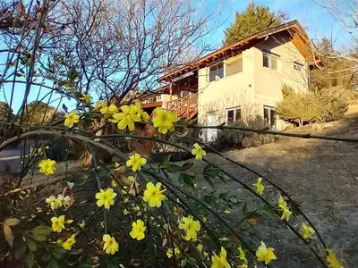 a house with yellow flowers in front of it at Luna en Acuario Hospedaje in Santa Rosa de Calamuchita