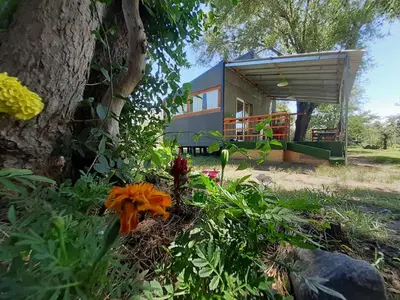 a view of a tiny house with a tree at Las Martinetas in Santa Rosa de Calamuchita