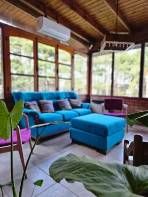 a living room with blue couches and a plant at La Reina Hotel in Santa Rosa de Calamuchita