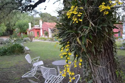 Gallery image of Hostería Bello Horizonte in La Paz