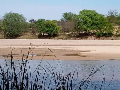 a body of water with trees and a sandy beach at Luz de las Sierras in Arroyo de Los Patos