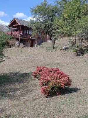 a house with a red bush in front of a house at Cabañas Stone Hill in Santa Rosa de Calamuchita