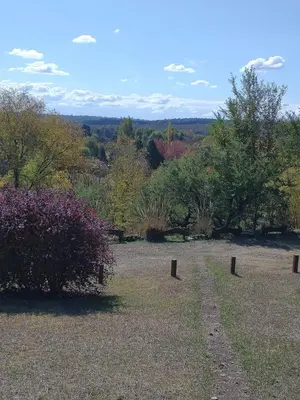 a field with trees and a dirt road at Cabañas Stone Hill in Santa Rosa de Calamuchita
