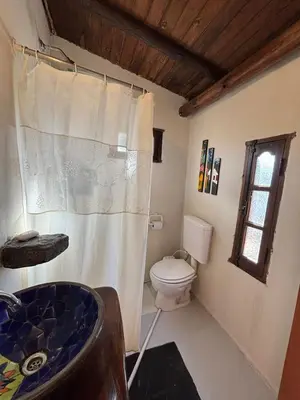 a bathroom with a toilet and a shower curtain at Cabaña en Villa General Belgrano in Villa General Belgrano