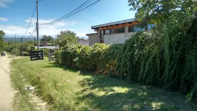 a hedge in front of a house with a building at Cabaña en Villa General Belgrano in Villa General Belgrano