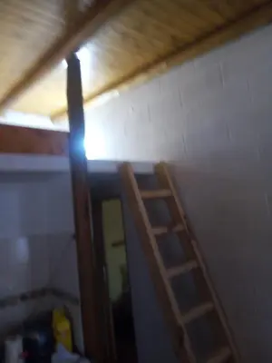 a ladder in a room with a ceiling at Cabaña en el lago in Trapiche