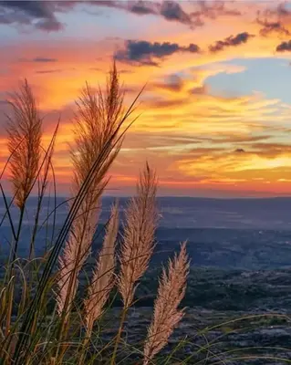 a sunset over the ocean with grass in the foreground at Cabañas El Sauce Mina Clavero in Mina Clavero