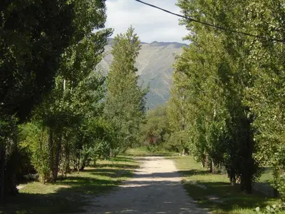 a road lined with trees with a mountain in the background at Álamos de Belén in Carpintería