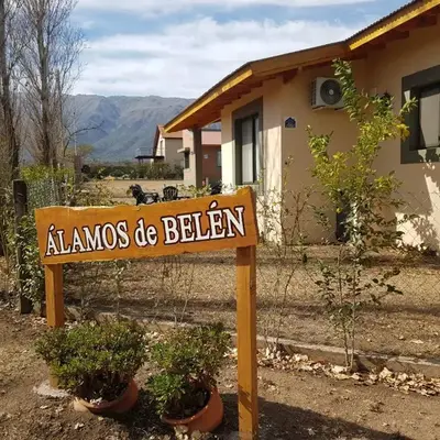 Álamos de Belén