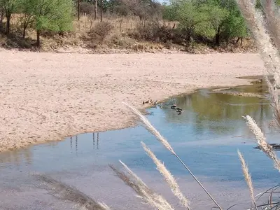 two ducks swimming in a body of water at Luz de las Sierras 2 in Arroyo de Los Patos