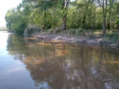 a river with trees on the side of it at Luz de las Sierras 2 in Arroyo de Los Patos