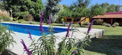 a garden with purple flowers next to a swimming pool at Posada Villapancha B&B in San Javier