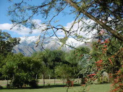 a view of a snow covered mountain through trees at Posada Villapancha B&B in San Javier