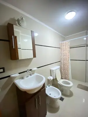 a bathroom with a sink and a toilet and a mirror at Punto Urbano in Villa Carlos Paz
