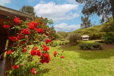 a garden with red flowers on a fence at Akapana Suites in La Cumbrecita
