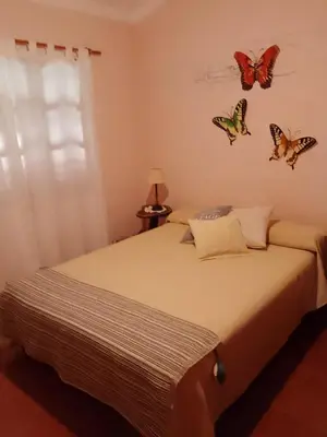 a bedroom with a bed with butterflies on the wall at Tacko Huasi in San Javier