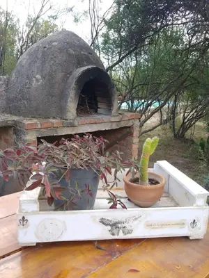 a outdoor oven with a potted plant on a table at Tacko Huasi in San Javier