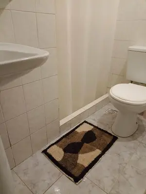 a bathroom with a toilet and a sink and a rug at La Escalerita- Estadio Kempes in Cordoba