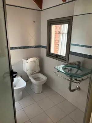 a bathroom with a toilet and a sink and a window at categoria a 1 cuadra plaza espana in Cordoba