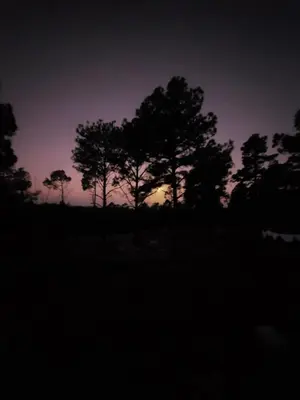 a silhouette of trees against a purple sky at Espejo de Hadas - Terrafirme in Villa Yacanto