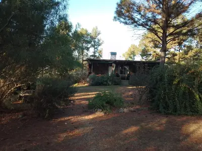 a house in the middle of a yard with trees at Árbol de Oro - Terrafirme in Villa Yacanto