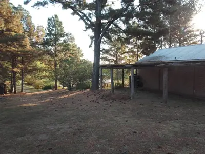 a building with a tin roof next to trees at Árbol de Oro - Terrafirme in Villa Yacanto