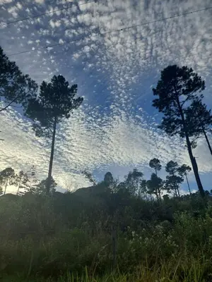 a sky with trees and clouds in a field at Árbol de Oro - Terrafirme in Villa Yacanto