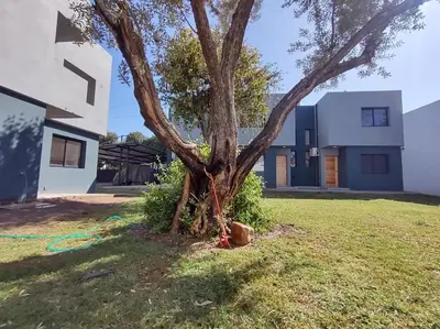 a tree in the yard of a house at Complejo Claret, Departamentos a metros de Sanatorio Allende y Hospital Privado Cerro in Cordoba