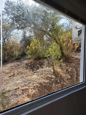 a window with a view of a tree at Altos del Monte in Villa Rumipal