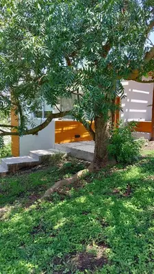 a tree in the middle of a yard with a building at Altos del Monte in Villa Rumipal