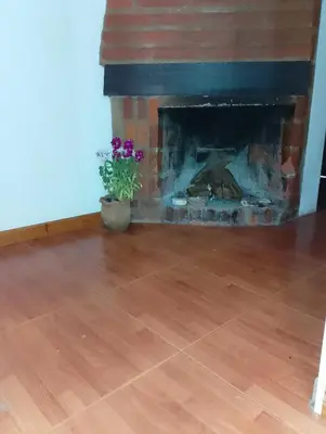 a room with a brick fireplace with a potted plant at Aldea Granpas in Embalse