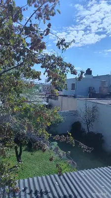a view of a yard with a tree at Makipura in Cordoba