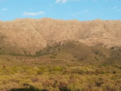 a mountain range with trees in front of it at Doña Vanina in Villa Larca