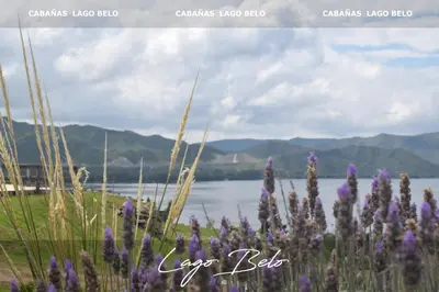 a field of purple flowers with a view of a lake at Lago Belo in Cordoba