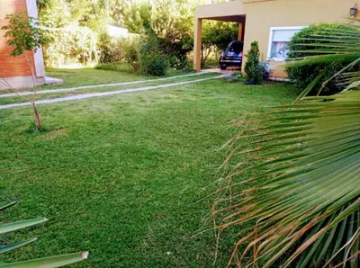 a green yard with a house and a palm tree at Casa en Las Tapias cerca de Villa de Las Rosas in San Javier