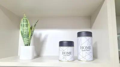 two bottles on a shelf next to a cactus at Opera Villa Carlos Paz- Moderno - exclusivo- La mejor ubicación in Villa Carlos Paz