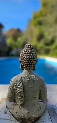 a statue of a person looking out at a pool at La casita in Villa General Belgrano