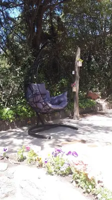 a chair sitting in the shade of a tree at Cucu Haus Hostel in La Cumbrecita