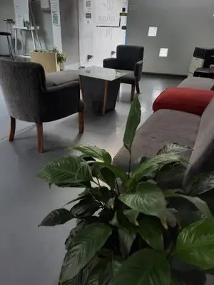 a living room with a couch and a plant at Cañas Suites Urbanas in Mina Clavero