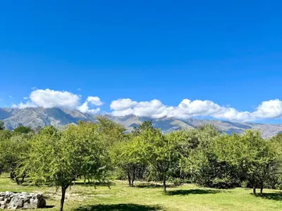 a field with trees and mountains in the background at Cabañas con jacuzzi privado y vistas al cerro Champaquí in San Javier