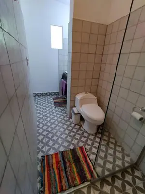 a bathroom with a toilet and a rug at Luna de Alberdi Apart in Cordoba