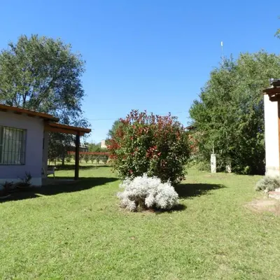 a yard with a white bush in the grass at La Serafina in Los Reartes