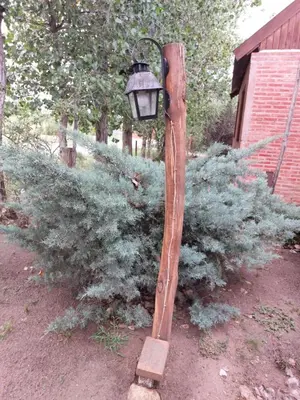 a street light on a pole in front of a bush at Azul in Arroyo de Los Patos