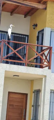 a white bird sitting on the balcony of a house at Villa Aurora in Potrero de Garay